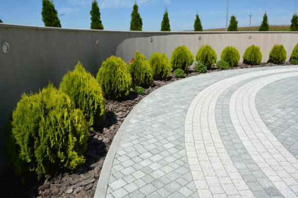 Best Professional Driveway Pavers  in Mundelein, IL